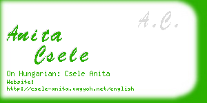 anita csele business card